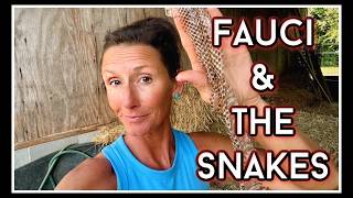🐍 Fauci & The Snakes...