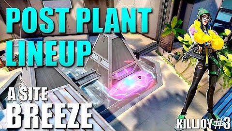 KILLJOY LINEUPS - BREEZE - Post Plant Molly Nanoswarm Setups #3 - A Site - Default