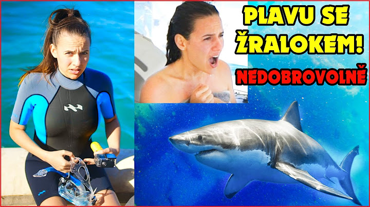 PLAVU SE ŽRALOKEM NEDOBROVOLNĚ! - NEJDĚSIVĚJŠÍ ZÁŽITEK Z NAŠÍ PLAVBY Z AUSTRÁLIE DO ČESKA!