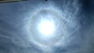 A Giant Lightbulb41726