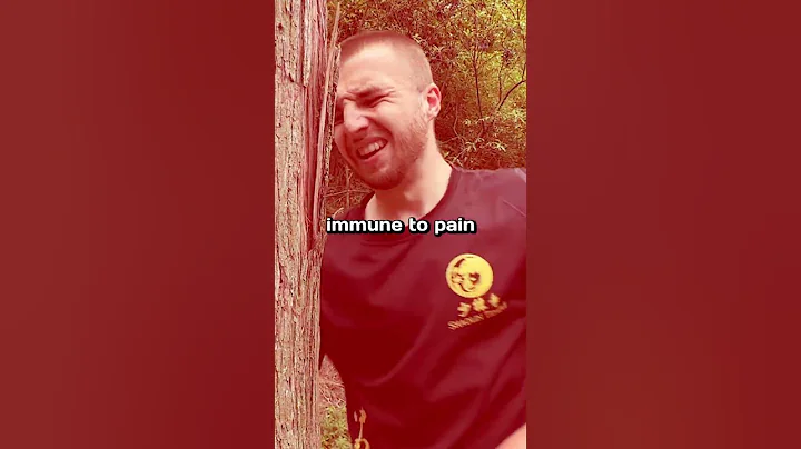 I Trained With Shaolin Monks - DayDayNews