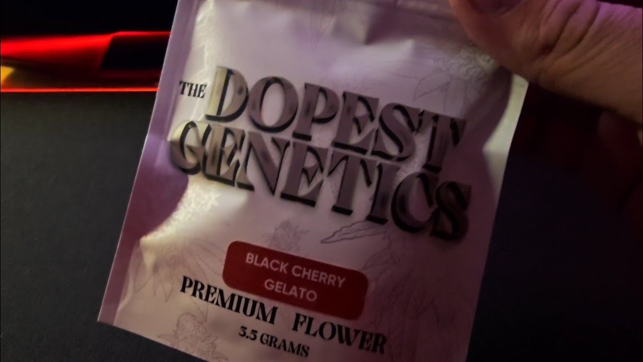 Black Cherry Gelato | The Dopest Genetics | Strain Review