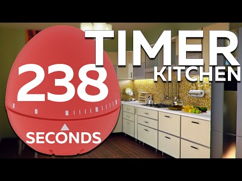238 seconds Cooking timer | 3min 58sec Egg TIMER