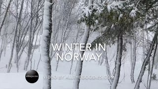 Snowy Winter in the Norwegian Mountains  | allthegoodies.com