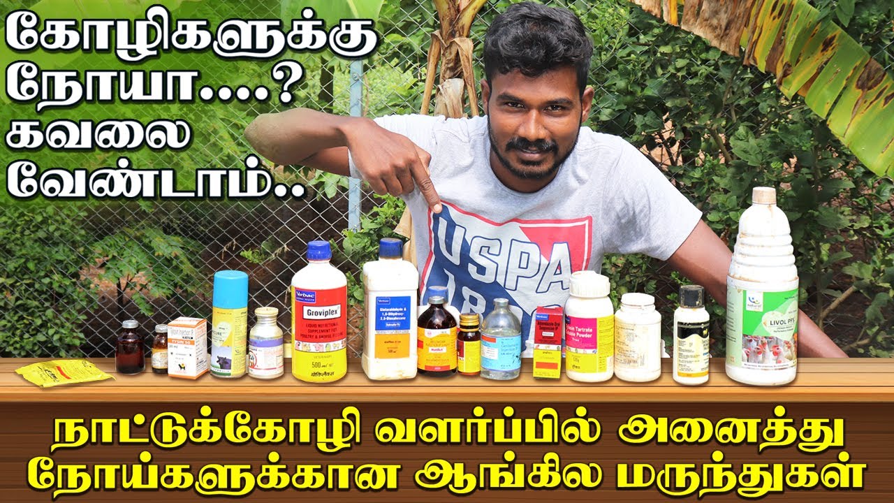 கோழி வளர்ப்பில் கட்டாயம் தெரிந்து கொள்ள வேண்டிய ஆங்கில மருந்துகள்| English Medicines For Chicken
