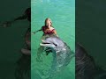 Connection between dolphins and pregnant women funfacts shorts dolphins pregnant