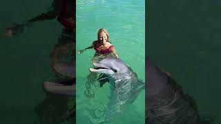 Download Lagu Verbinding tussen dolfijnen en zwangere vrouwen #leukeweetjes #shorts #dolfijnen #zwanger MP3