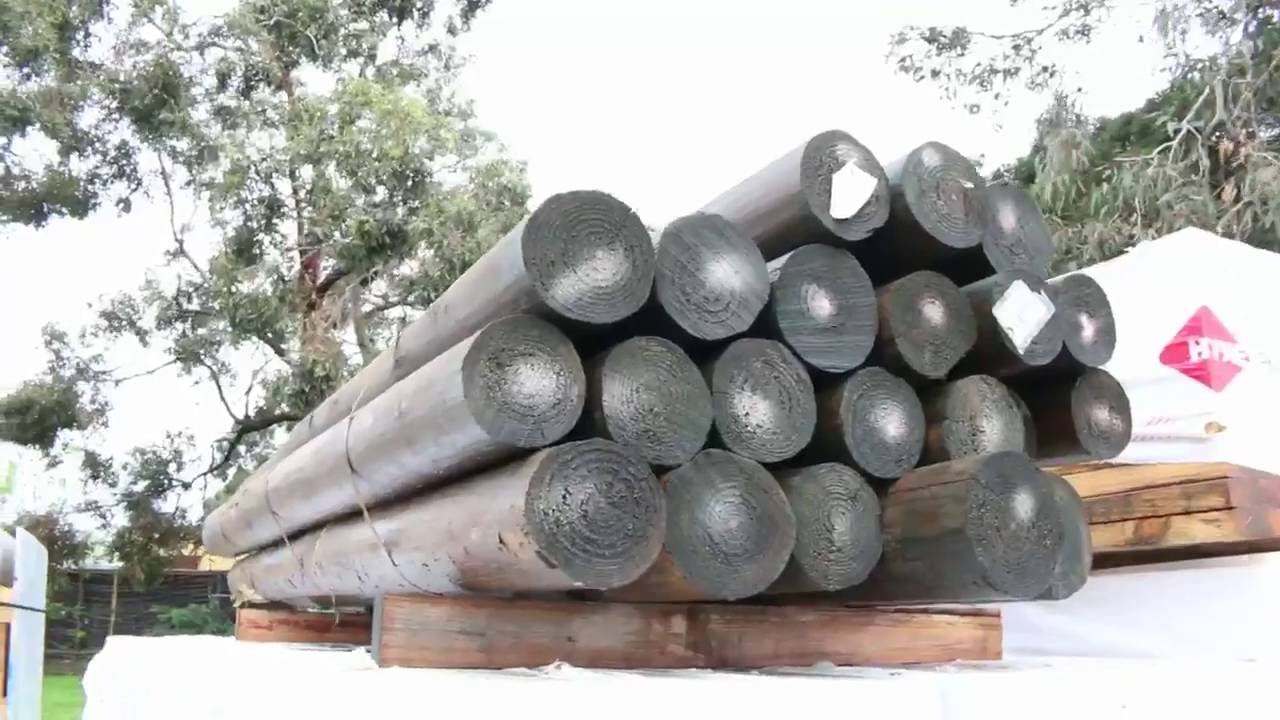 Timber Auction 14 Sep YouTube