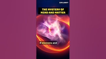 Can Science Explain Consciousness? #briangreene #conciousness