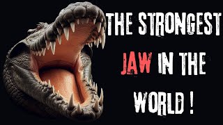 How to survive a CROCODILE ATTACK? | If it catches you, it won't let you go