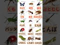 Insects Name in Japanese #7 #japaneselanguage #jlptlistening #abjafri
