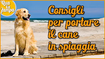 Quando finisce la stagione balneare?