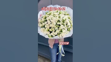Thumbnail of #music #christmas #song #merrychristmas #christmassongs #video #цветы #flowers #florist #tulip  роза