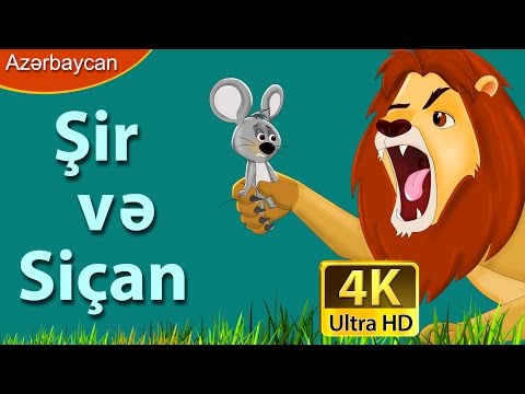 Şir və Siçan | Lion And Mouse in Azer | Duymecik Cizgi Filmi | Nagillar Alemi | Azərbaycan Nağılları