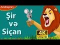 Ir v sian  lion and mouse in azer  duymecik cizgi filmi  nagillar alemi  azrbaycan nallar