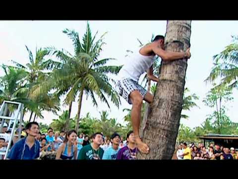 欢喜台-综艺大集合 当红卡通海绵宝宝的真面目！
