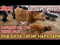 КАШКАДАРЁ ВИЛОЯТИ КАРШИ МОЛ БОЗОРИ НАРХЛАРИ 2021 5-ЯНВАР QASHQADARYO QARSHI MOL BOZOR NARXLARI 2021