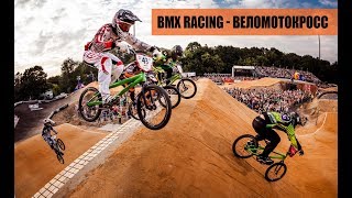 BMX  велокросс