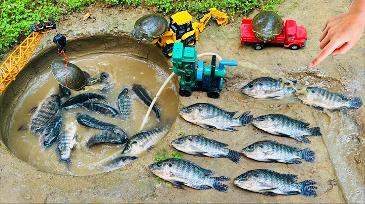 Diy mini powerful diesel engine water pump for fish in the pond🐟 science project |@Mini Fish Creator