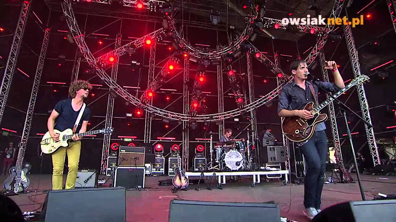 Death By Chocolate na 19. Przystanku Woodstock! roach killer