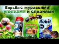 Садовые ГАДЫ просто замучили -как я борюсь с вредителями?