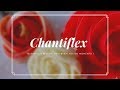 Como fazer o famoso chantiflex- #priconfeiteira