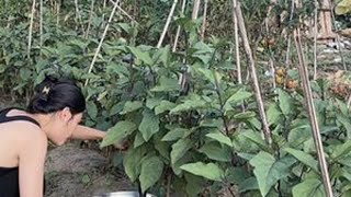#2024新农人计划 #三农 #记录真实生活 #抖音记录农村生活 #农村美食