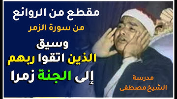 سورة الزمر اسكندرية 1973م | مقطع من القلب للقلب