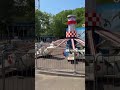 Обновлённый парк «Сокольники» сейчас выглядит особенно красиво !