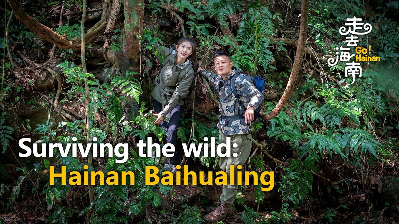 Go! Hainan: How to survive in a tropical rainforest?