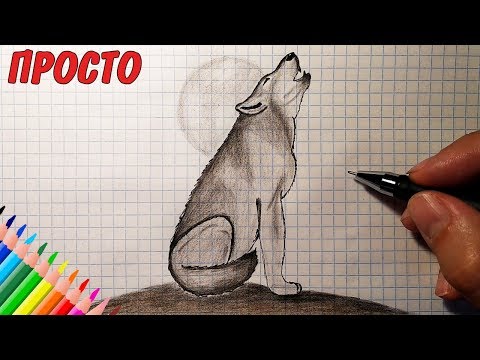 Как нарисовать ВОЛКА (Full HD) Рисунки для детей / how to draw a wolf