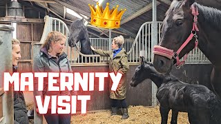 Queen👑Uniek gives me a hug. Maternity visit | I'm Riding Mathilde | Escaped ponies | Friesian Horses