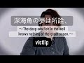 深海魚の夢は所詮、/ vistlip 【歌ってみた】