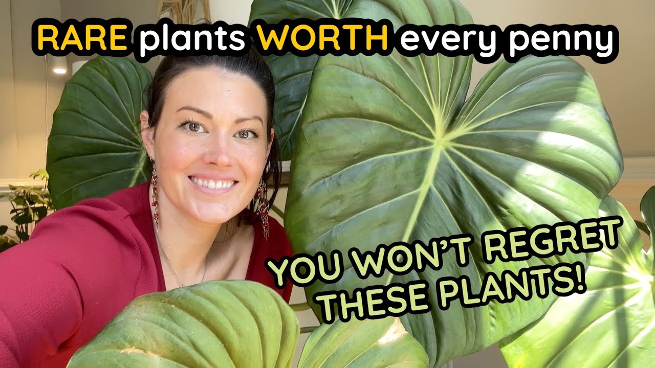9 Rare Plants WORTH Every Penny You Won't Regret Buying These