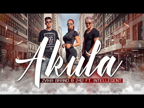 Zvika Brand & 242 & Intellegent - Akula