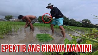 Download Lagu Gumaganda na ang Resulta MP3 Download Lagu Gumaganda na ang Resulta MP3