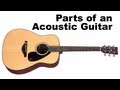 Parts of an acoustic guitar tutorial for beginners guitar lesson