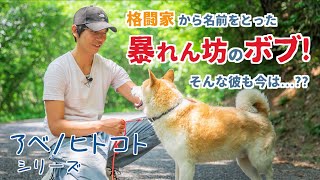 殺処分対象犬の暴れて手がつけらてなかった保護犬が今は...【ピースワンコ】