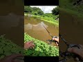 【衝撃】超ガリッガリのブラックバスが釣れた・・・。