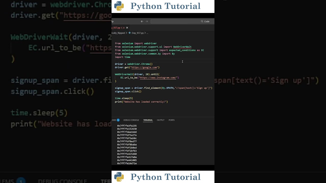 Как использовать WebDriverWait в Selenium | Учебное пособие по Python