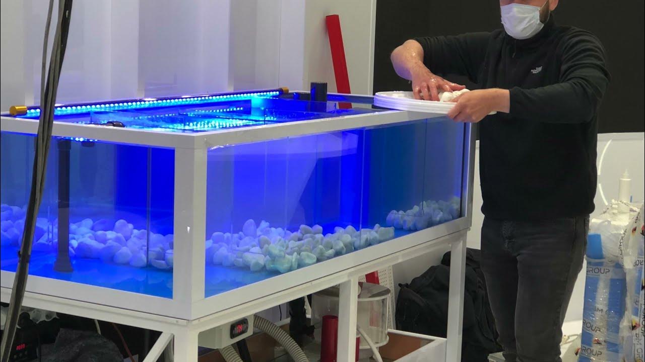 Аквариум для живых морепродуктов краба устриц ежа гребешка в ресторан ...