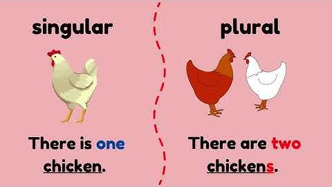 Year 3 (Module 7- Out and about) - Get Smart Workbook page 53