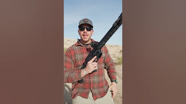 FM15 Side Folding AR #SHORTS