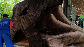 Little Late Make A Disaster, Old Sawmill Woodworking Is Very Heavy