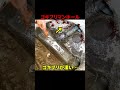 【閲覧注意】汚いからゴキブリが多い？キッチンメイン管の排水管高圧洗浄@大阪市淀川区#shorts [排水溝掃除]