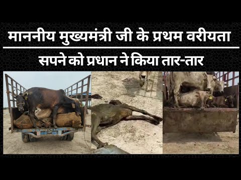 Hardoi: माननीय मुख्यमंत्री जी के प्रथम वरीयता सपने को प्रधान ने किया तार-तार