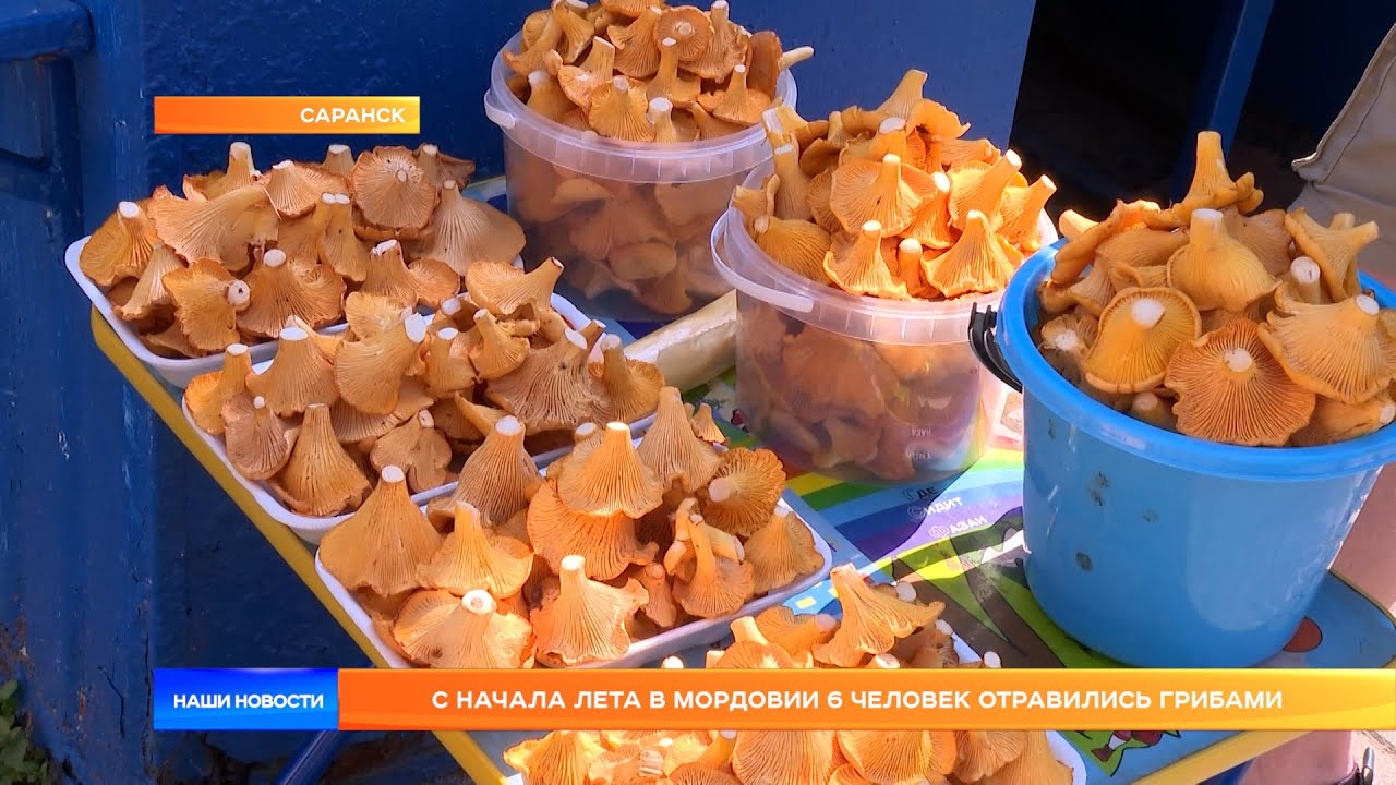 С начала лета в Мордовии 6 человек отравились грибами