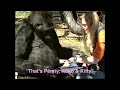 Penny and Koko Read Koko's Kitten (1988)