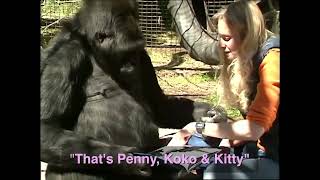 Penny and Koko Read Koko's Kitten (1988)