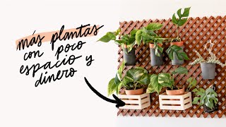 Cómo tener más plantas en casa ahorrando espacio y dinero | MI HOGAR MEJOR